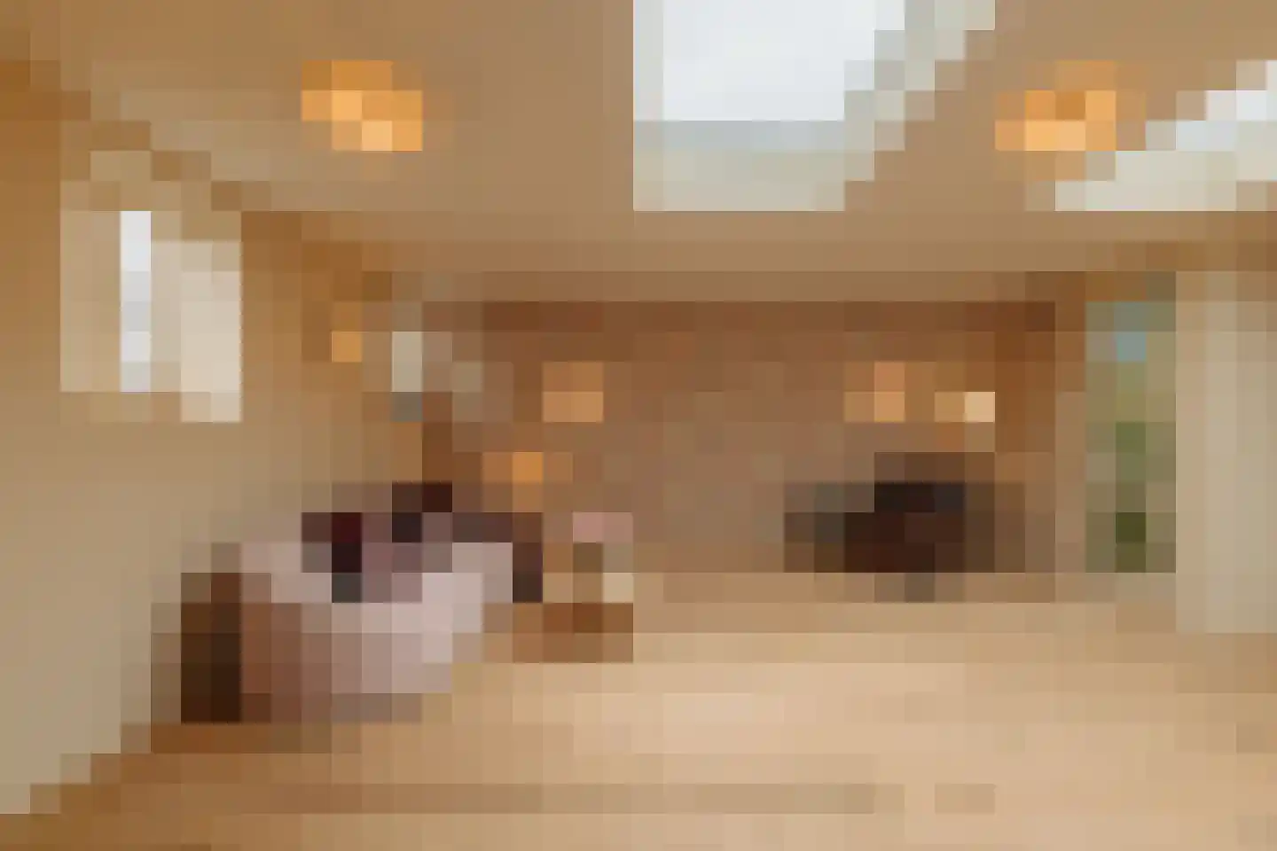 Koningin Emmakade 198 C Den Haag thumbnail 11