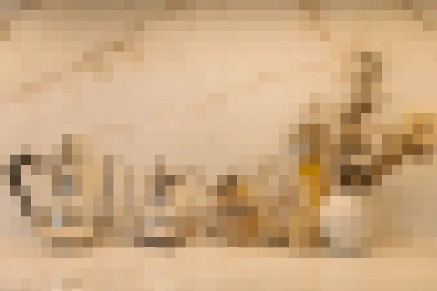 Koningin Emmakade 198 C Den Haag thumbnail 14
