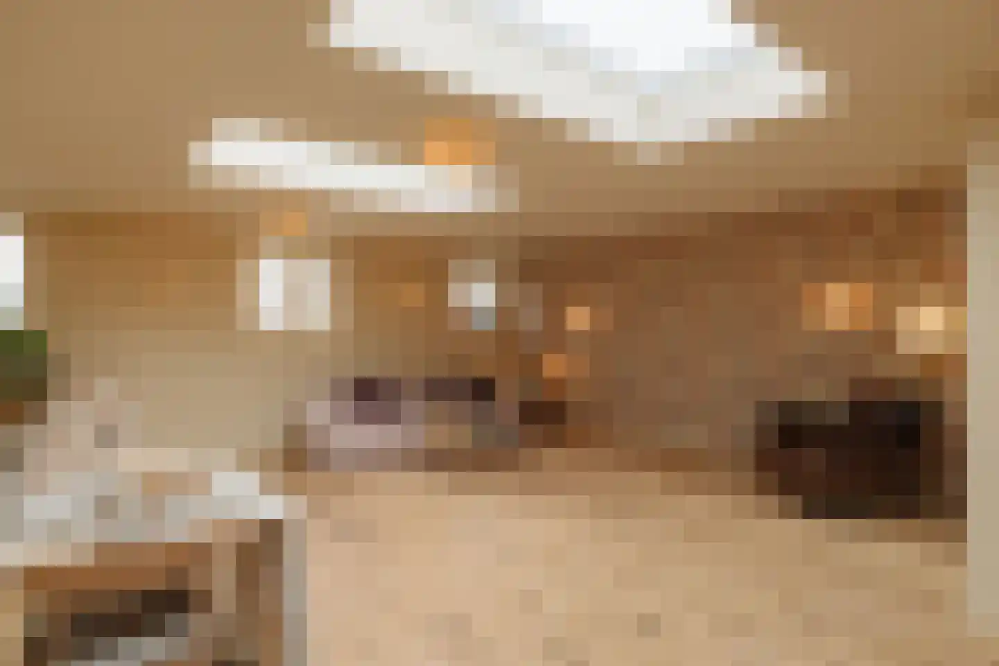Koningin Emmakade 198 C Den Haag thumbnail 15
