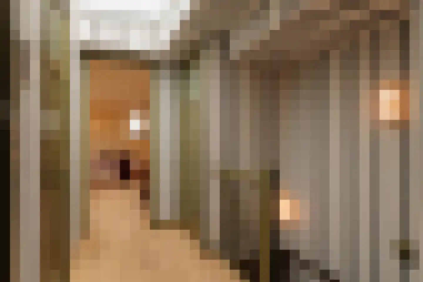 Koningin Emmakade 198 C Den Haag thumbnail 17