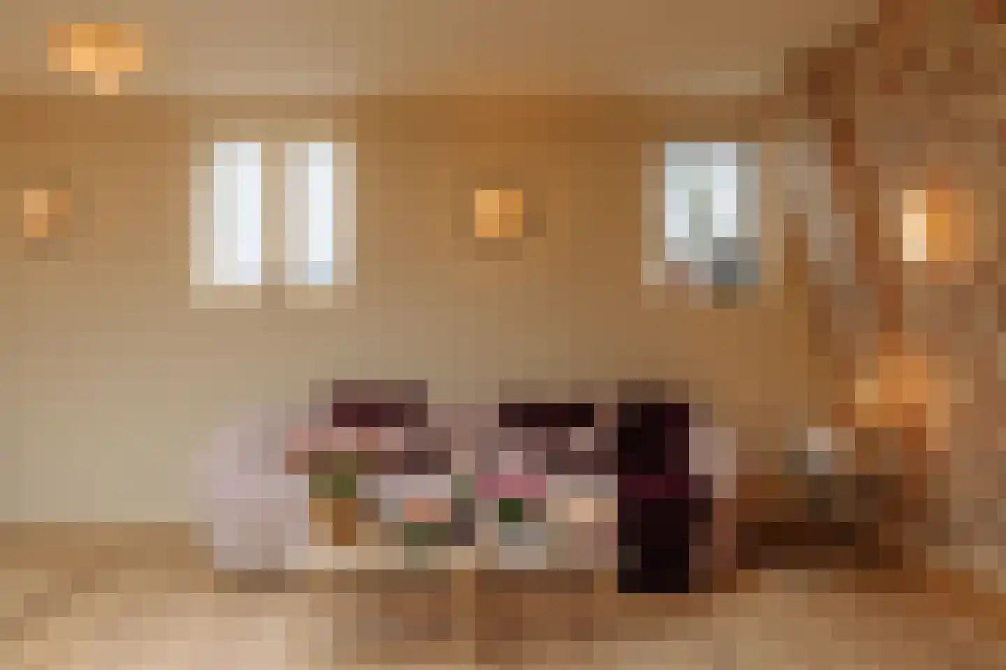 Koningin Emmakade 198 C Den Haag thumbnail 9