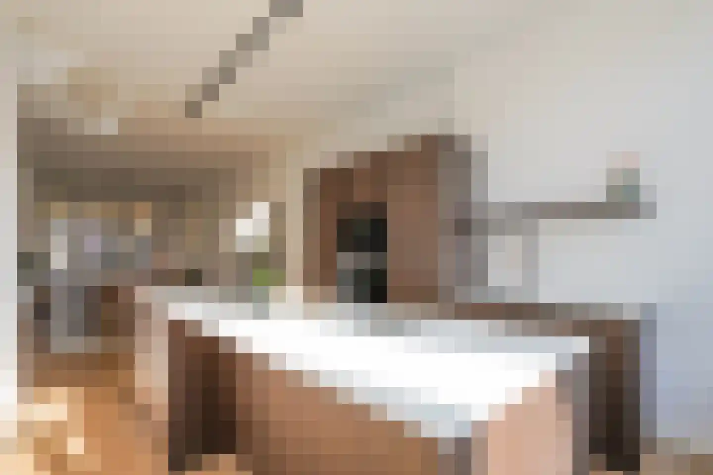 Koningin Emmakade 33 in Den Haag