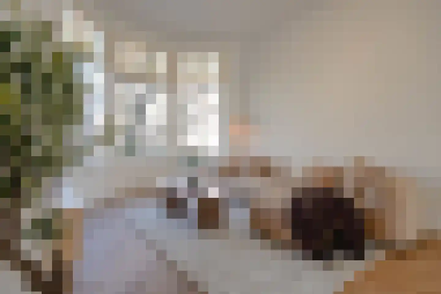 Koningin Emmakade 33 Den Haag thumbnail 15