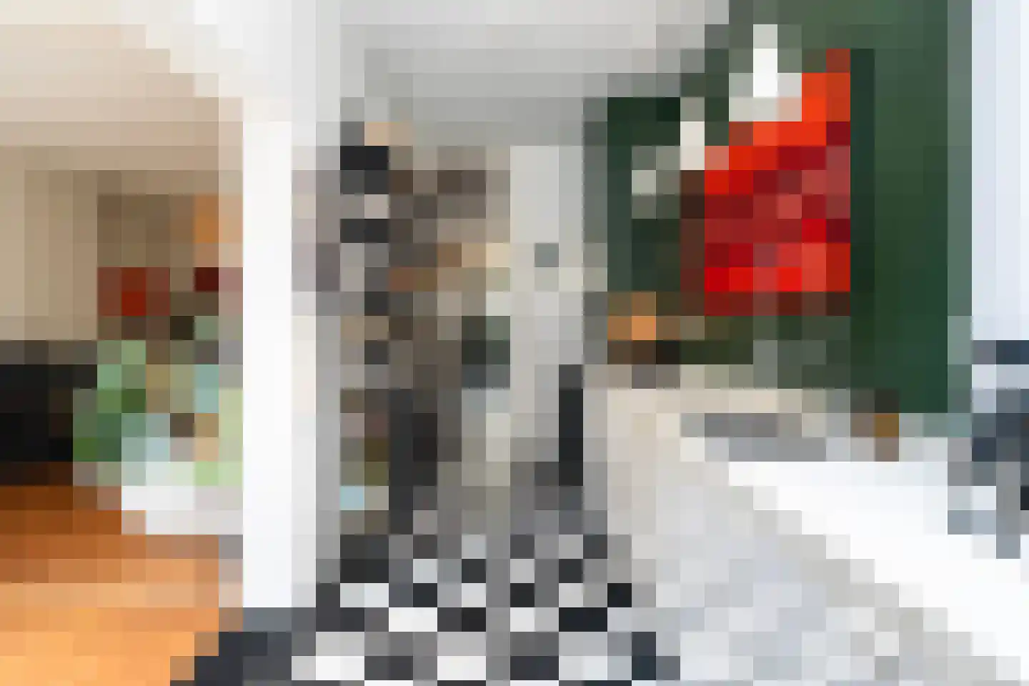 Koningin Emmakade 42 Den Haag thumbnail 14
