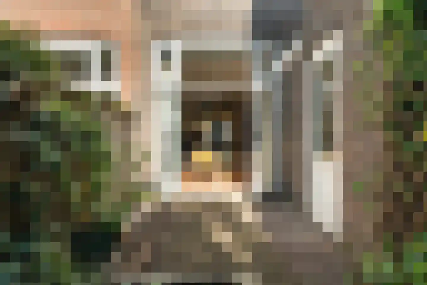 Koningin Emmakade 42 Den Haag thumbnail 22