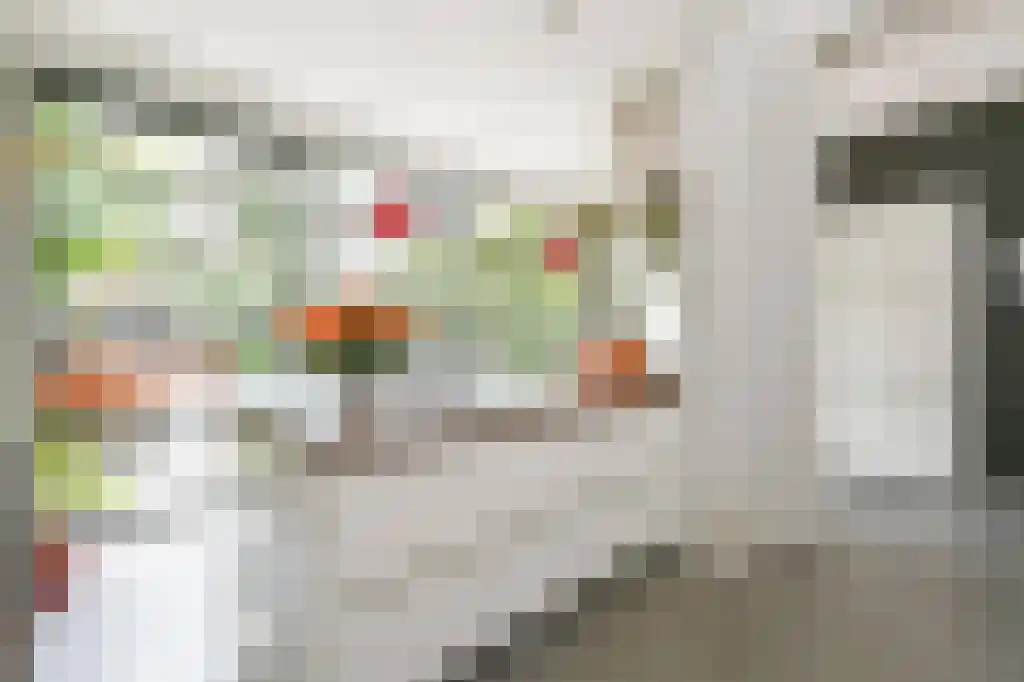Koningin Emmakade 63 Den Haag thumbnail 4