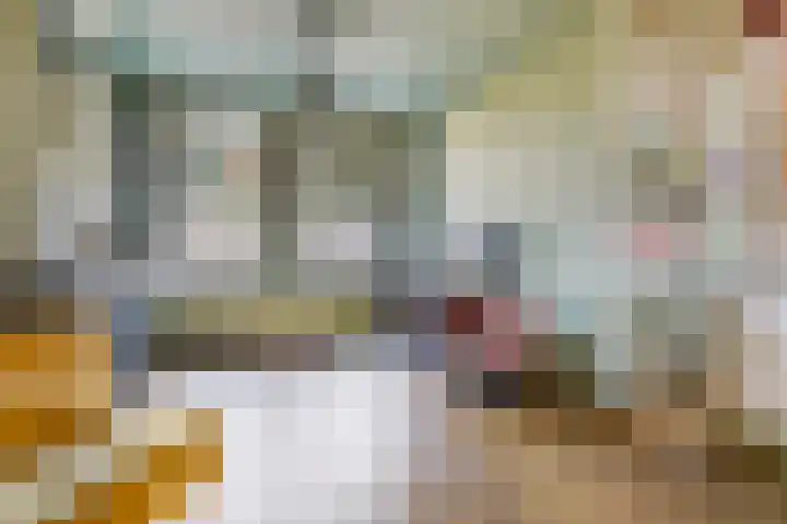 Koningin Emmakade 72 Den Haag thumbnail 17