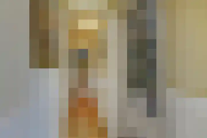 Koningin Emmakade 72 Den Haag thumbnail 42