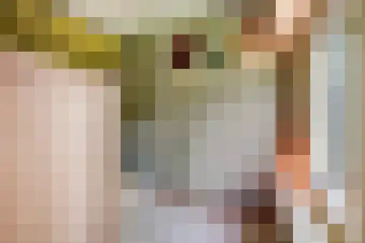Koningin Emmakade 72 Den Haag thumbnail 46