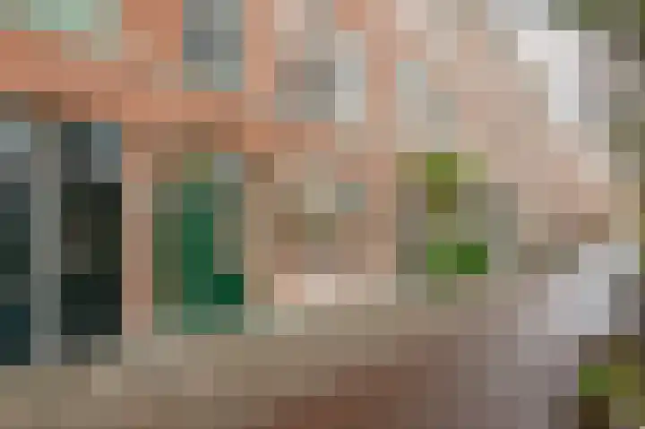 Koningin Emmakade 88 Den Haag thumbnail 5