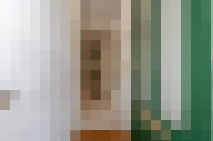 Koningin Emmakade 88 Den Haag thumbnail 6