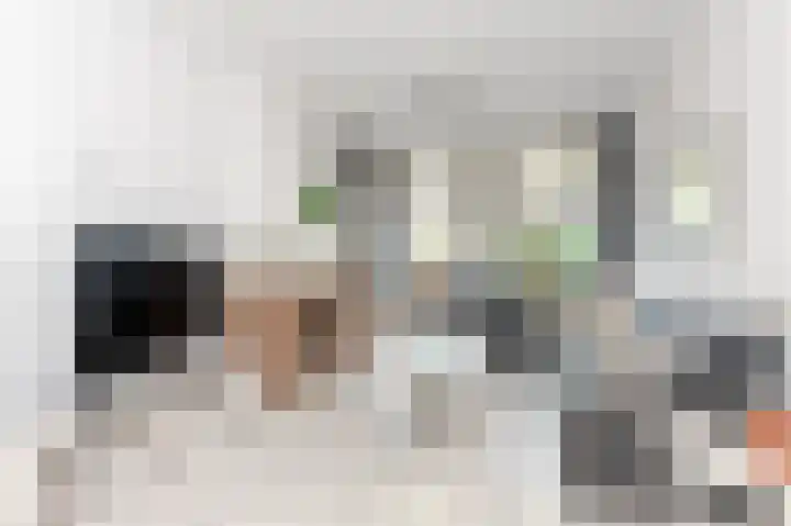 Koningin Emmakade 88 Den Haag thumbnail 8