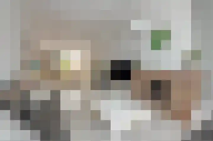Koningin Emmakade 88 Den Haag thumbnail 9