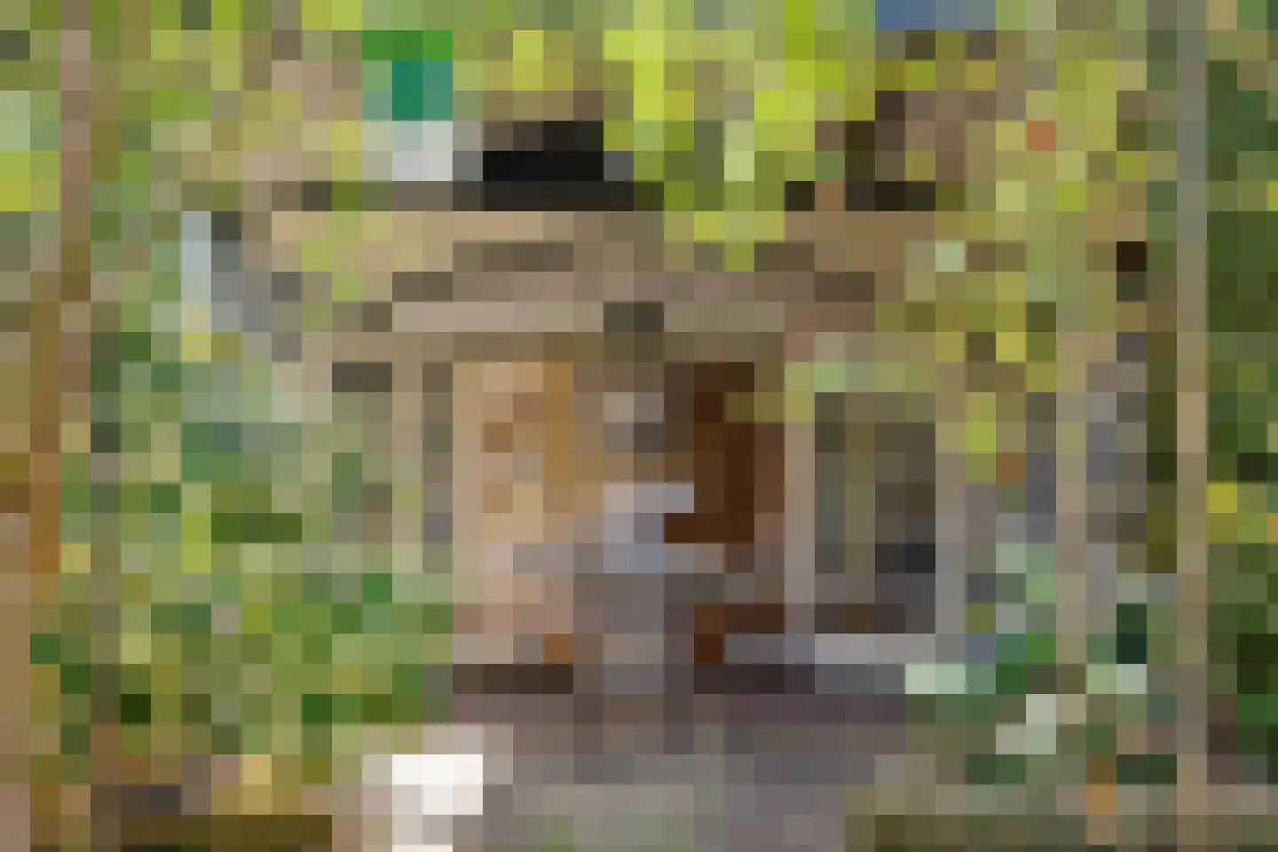 Koningin Emmalaan 11 Bussum foto 3