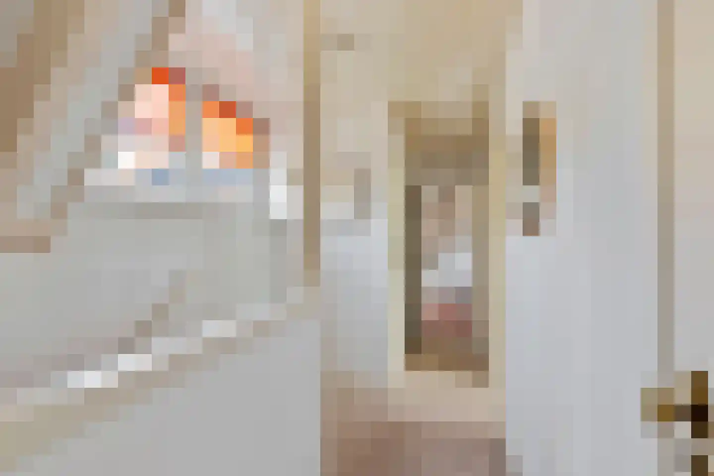 Koningin Emmalaan 11 Bussum thumbnail 31