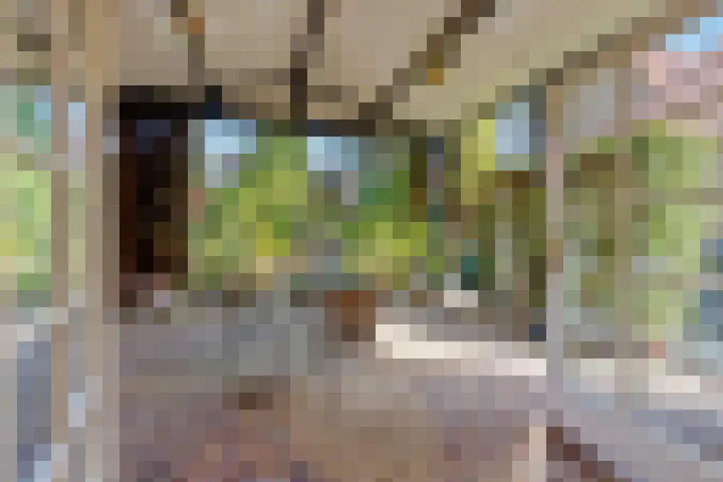 Koningin Emmalaan 11 Bussum thumbnail 38