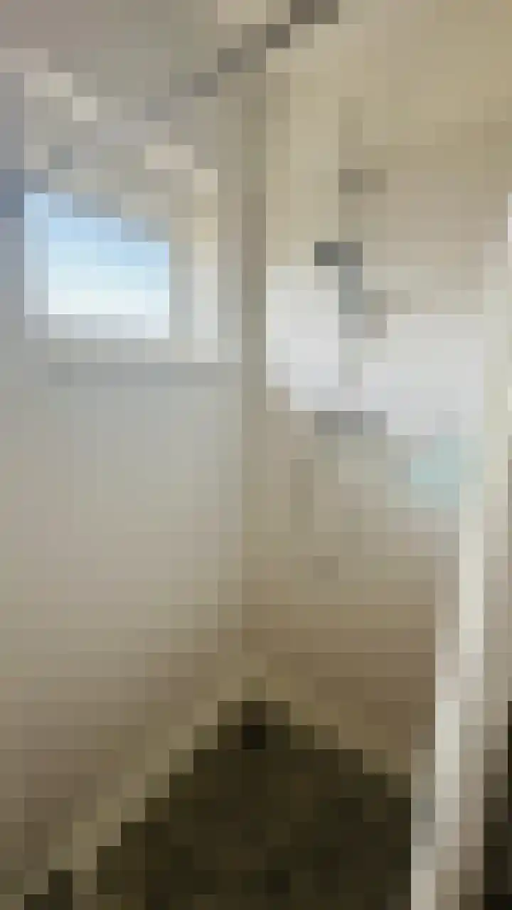 Koningin Emmalaan 118 Delft thumbnail 5