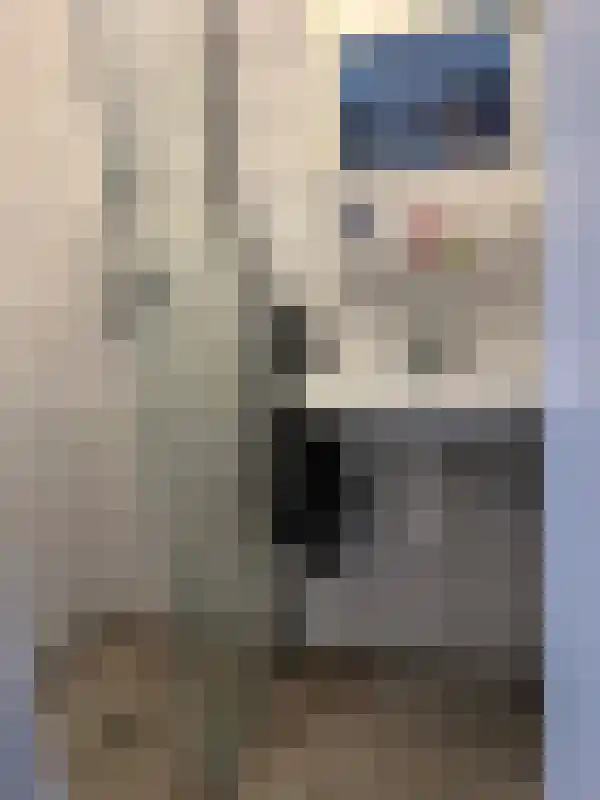Koningin Emmalaan 141 Delft thumbnail 5