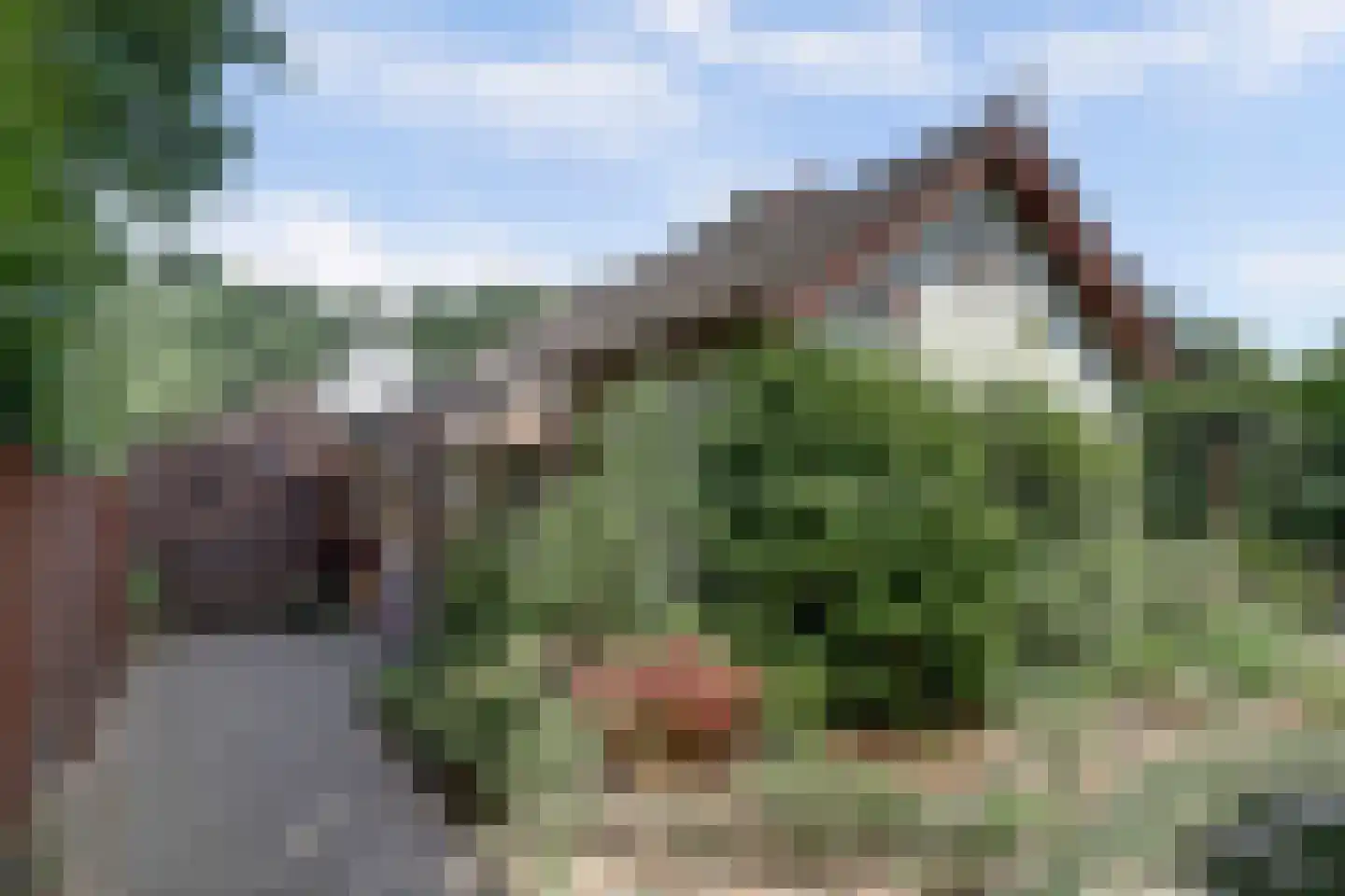 Koningin-Emmalaan 17 Leersum thumbnail 40