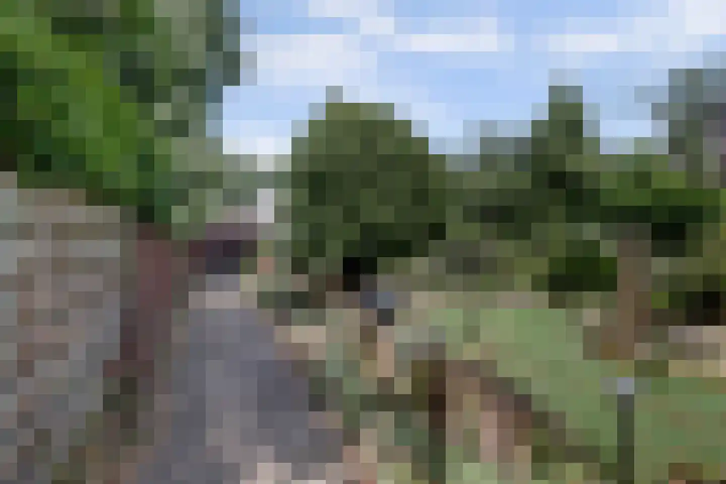Koningin-Emmalaan 17 Leersum thumbnail 44
