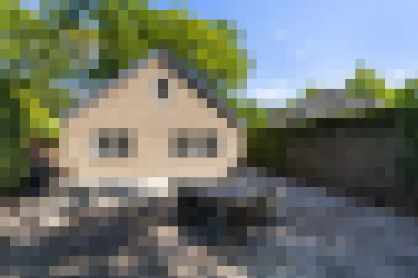 Koningin Emmalaan 21 Ermelo thumbnail 23