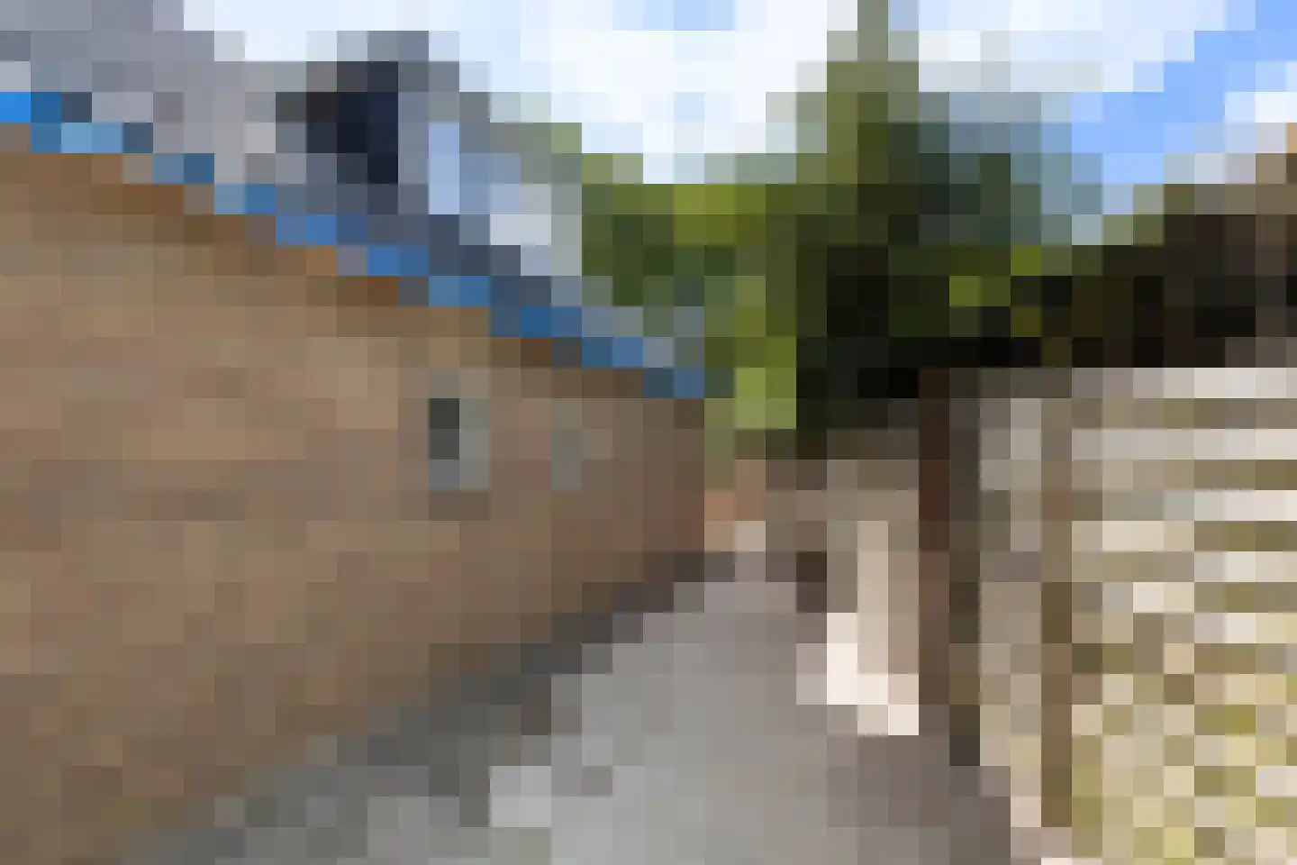 Koningin Emmalaan 21 Ermelo thumbnail 27