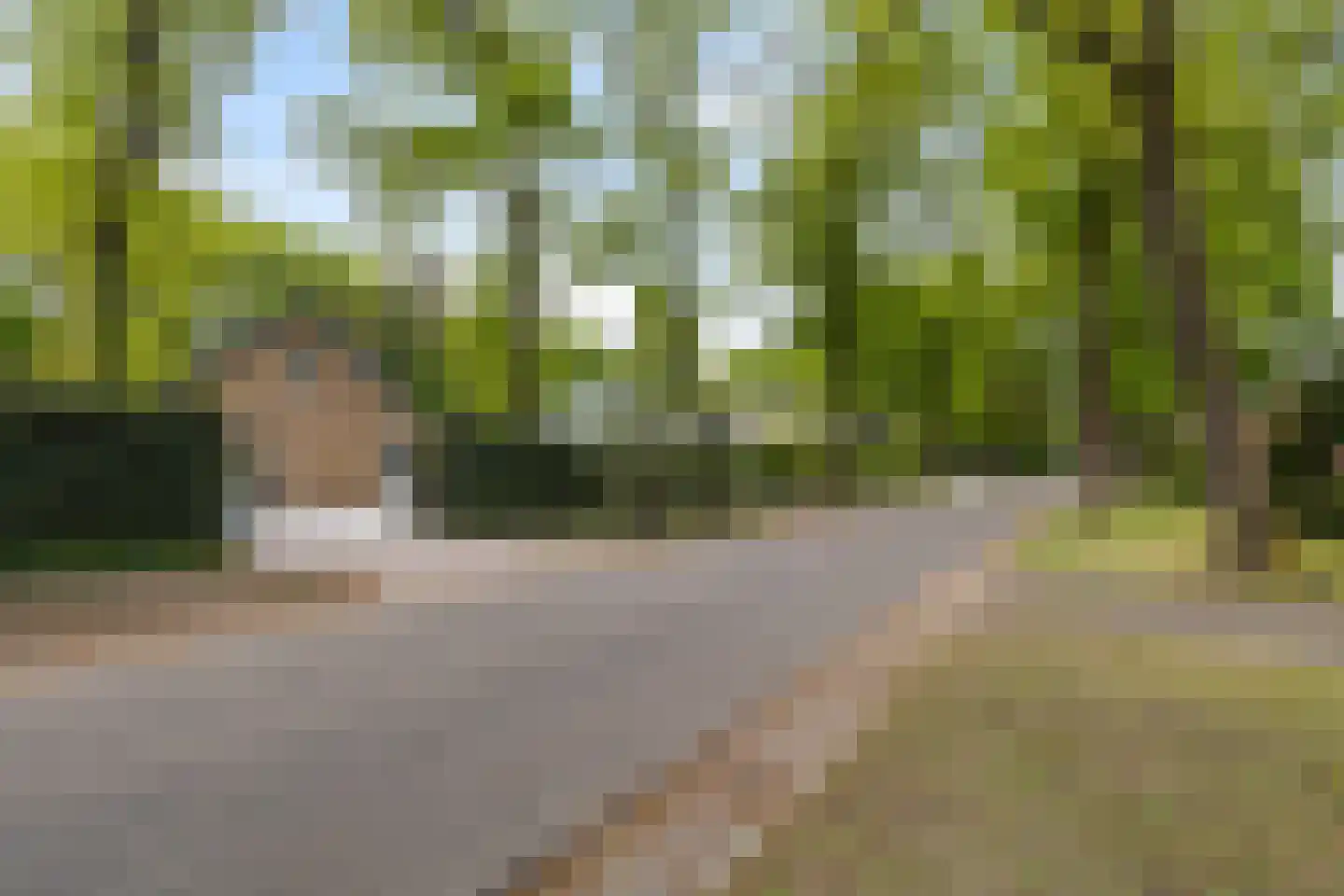 Koningin Emmalaan 21 Ermelo thumbnail 34
