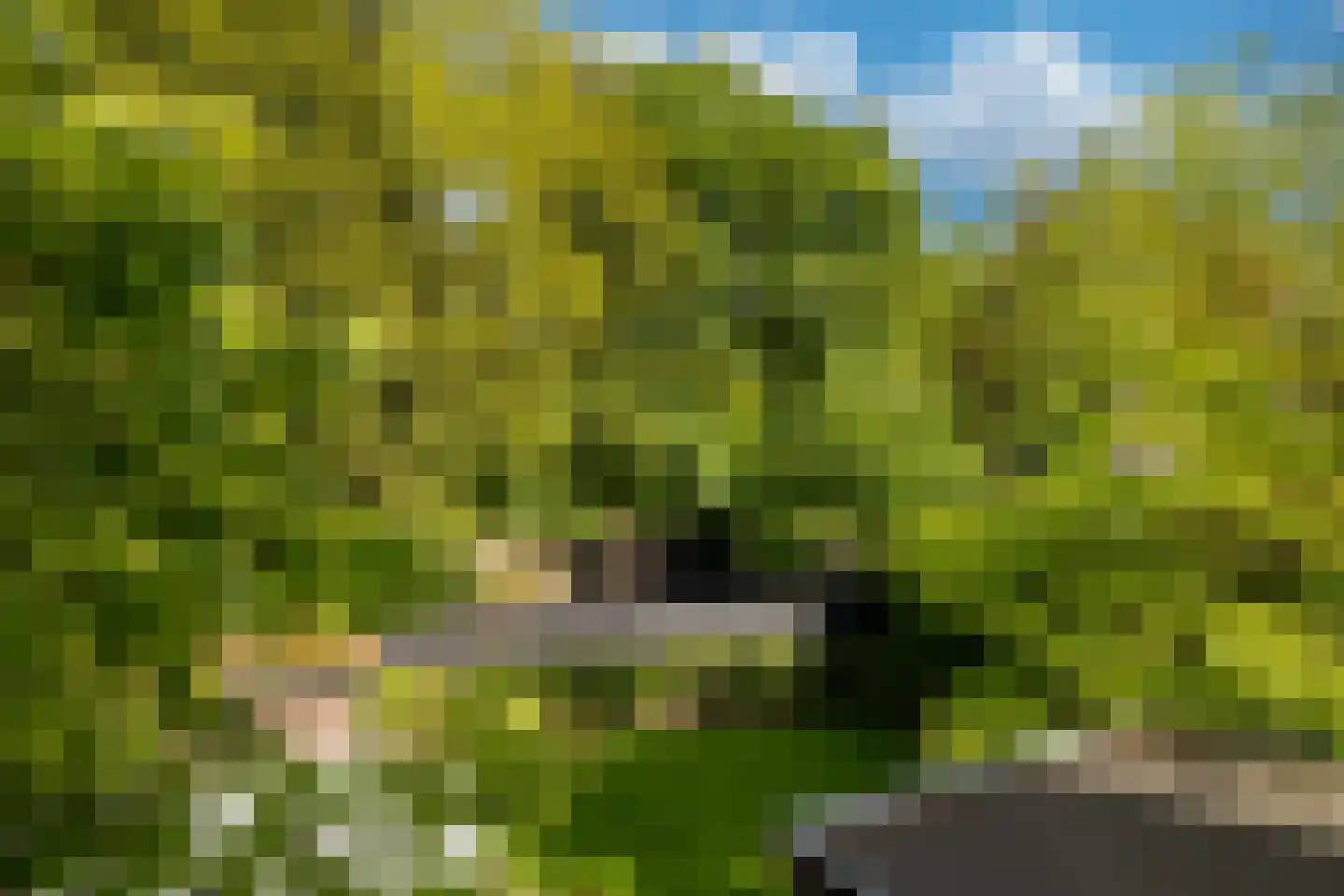 Koningin Emmalaan 22 Bussum thumbnail 33