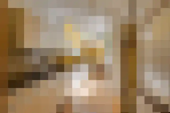 Koningin Emmalaan 27 Leidschendam thumbnail 11