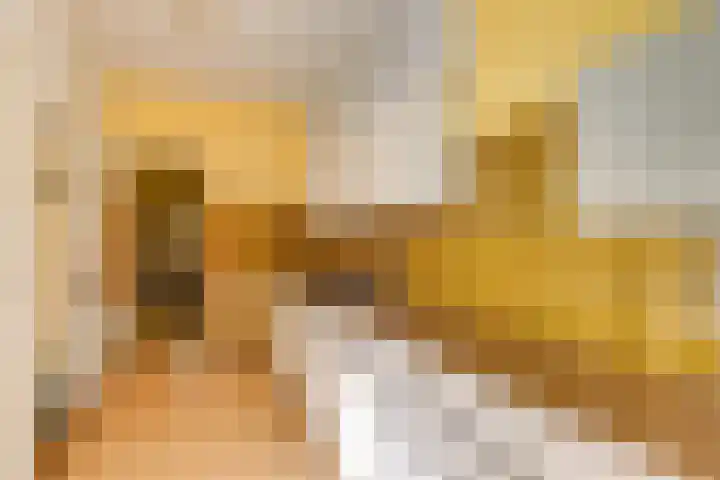Koningin Emmalaan 27 Leidschendam thumbnail 13
