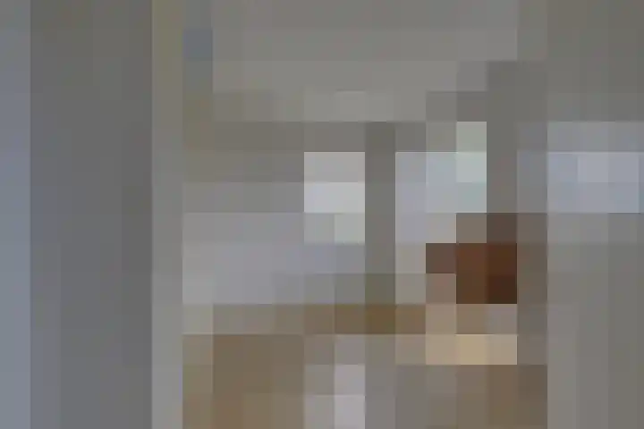 Koningin Emmalaan 27 Leidschendam thumbnail 20