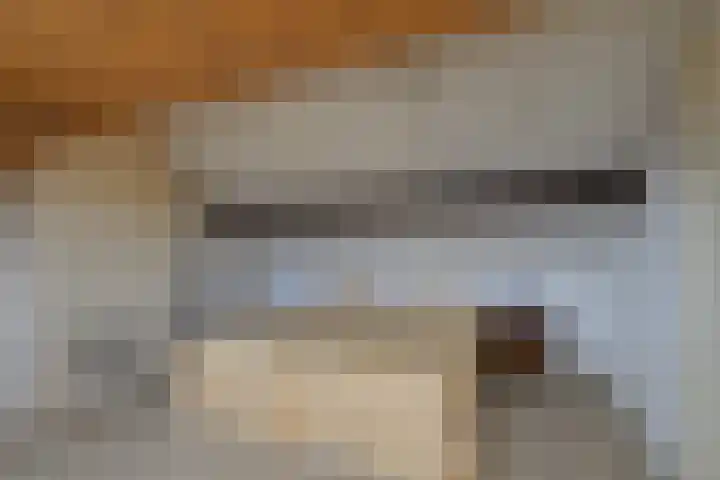 Koningin Emmalaan 27 Leidschendam thumbnail 23