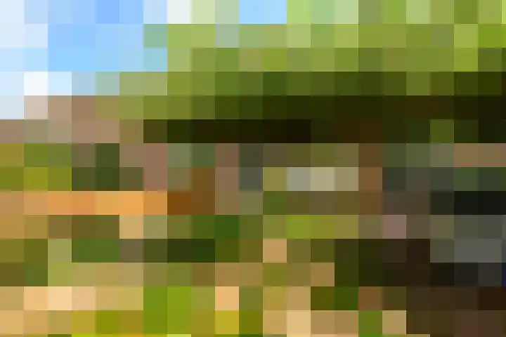 Koningin Emmalaan 27 Leidschendam thumbnail 29