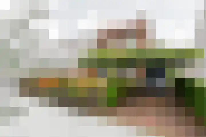 Koningin Emmalaan 27 Leidschendam thumbnail 5