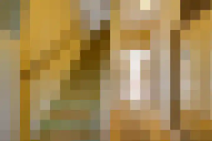 Koningin Emmalaan 27 Leidschendam thumbnail 8