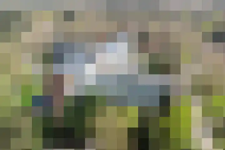 Koningin Emmalaan 29 13 Ermelo thumbnail 32