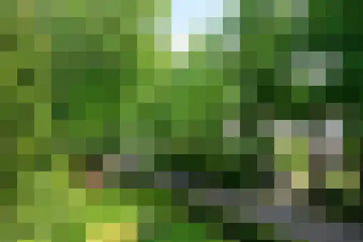 Koningin Emmalaan 29 52 Ermelo thumbnail 15
