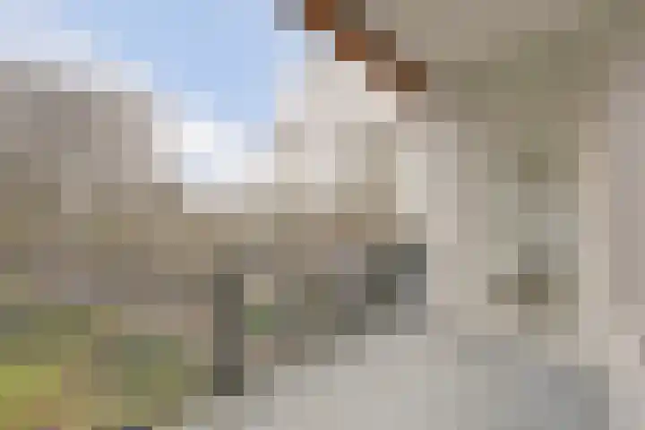 Koningin Emmalaan 29 55 Ermelo thumbnail 20