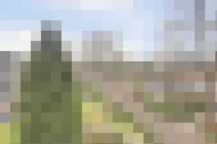 Koningin Emmalaan 29 55 Ermelo thumbnail 22