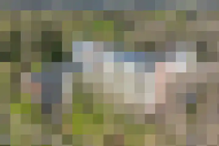 Koningin Emmalaan 29 55 Ermelo thumbnail 29