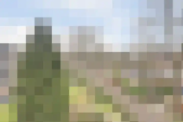 Koningin Emmalaan 29 55 Ermelo thumbnail 4