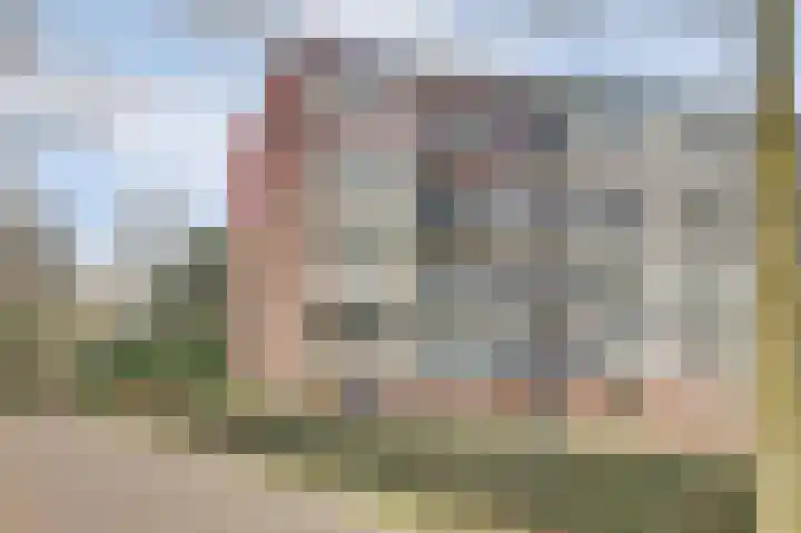 Koningin Emmalaan 29 55 Ermelo thumbnail 5