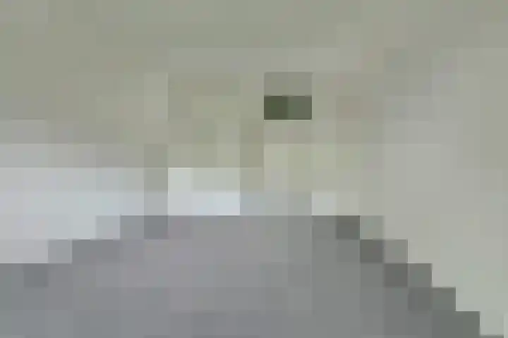 Koningin Emmalaan 29 61 Ermelo thumbnail 14