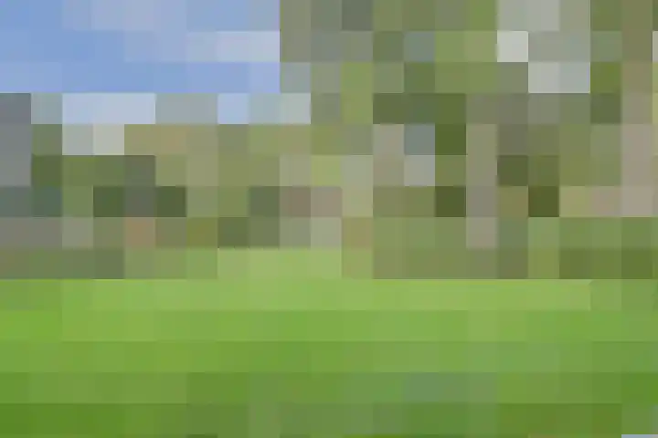 Koningin Emmalaan 29 61 Ermelo thumbnail 23