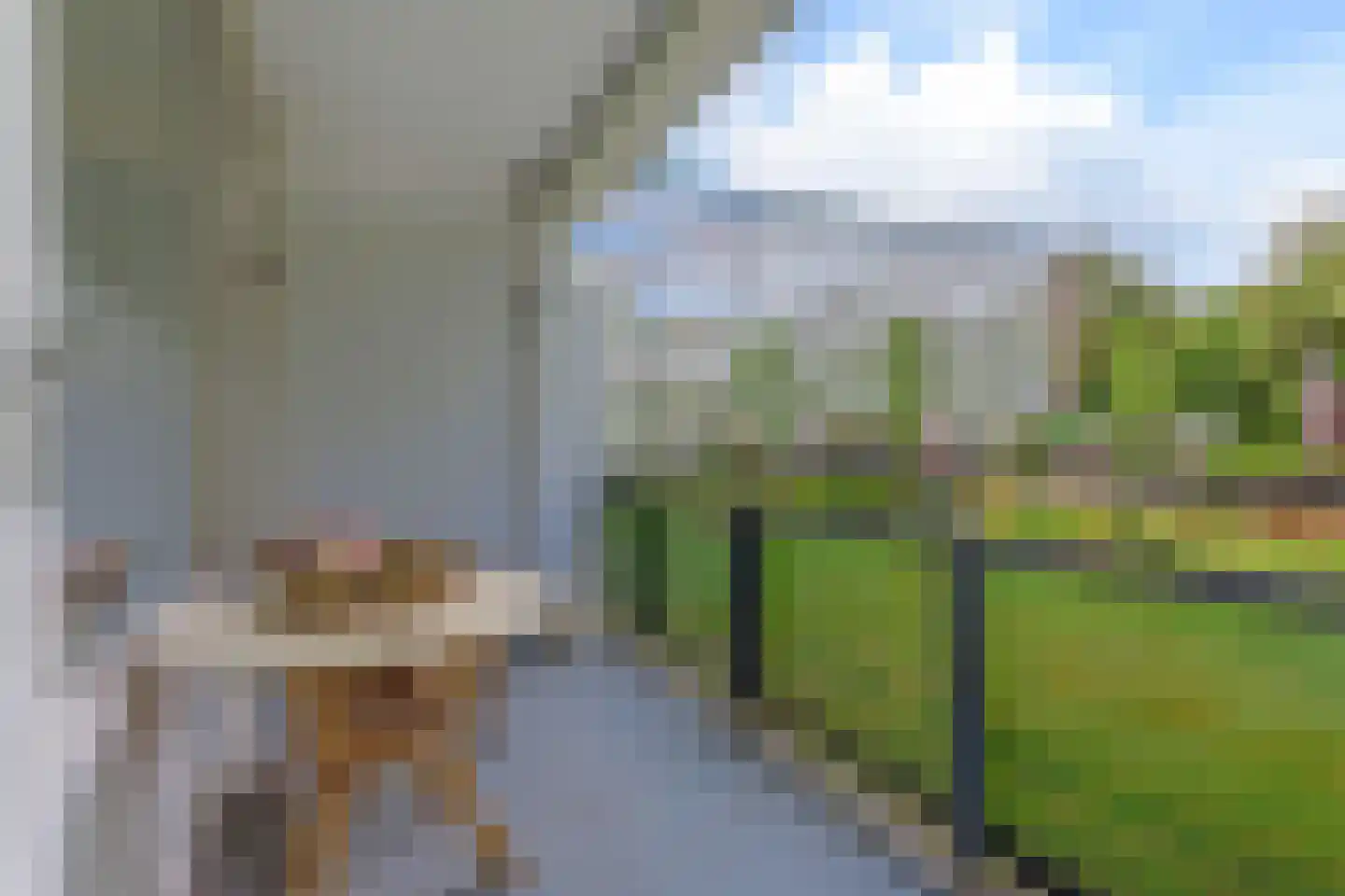 Koningin Emmalaan 29 61 Ermelo thumbnail 32