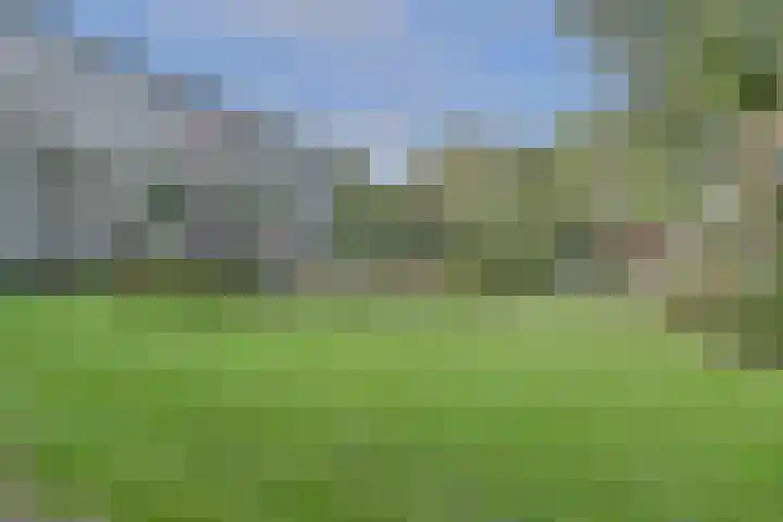Koningin Emmalaan 29 61 Ermelo thumbnail 4
