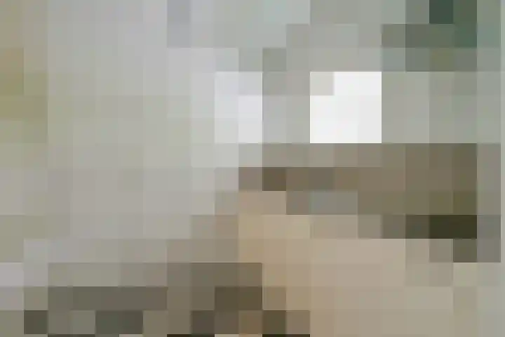 Koningin Emmalaan 29 75 Ermelo thumbnail 13