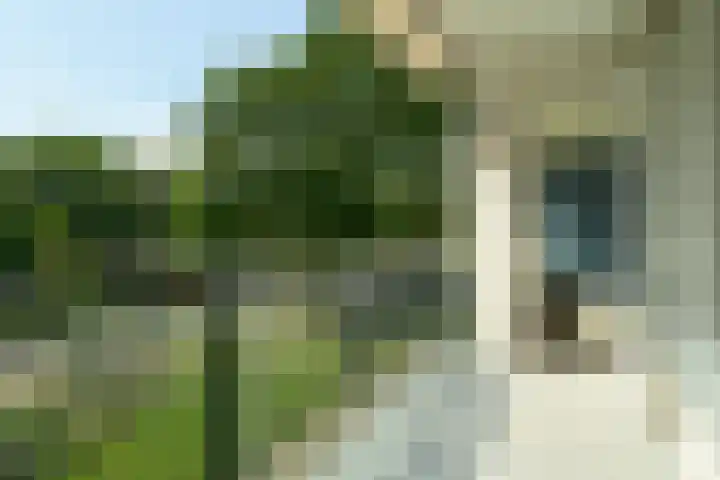 Koningin Emmalaan 29 75 Ermelo thumbnail 36