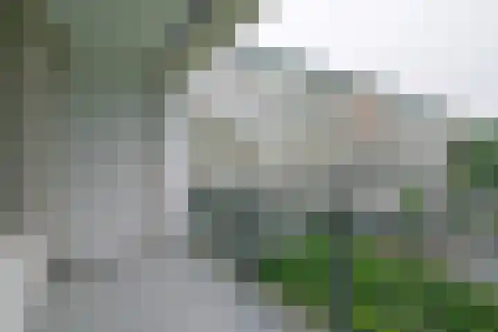 Koningin Emmalaan 29 75 Ermelo thumbnail 37