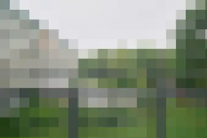 Koningin Emmalaan 29 75 Ermelo thumbnail 38
